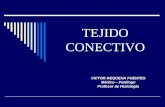 Histología - Tejido conectivo - Dr. Requena