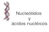 Ac. nuc y nucleotidos