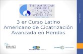3er Curso Latino Americano de Cicatrización Avanzada en Heridas (IV)