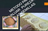 Metodo para evaluar pureza en semillas  copia