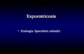Esporotricosis Y Micetoma