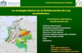 La ecología basica en los ecosistemas 2009  1