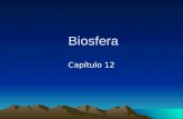 Capitulo 12 Biosfera