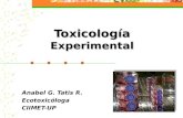Clase n°2 tema 2 a_toxicologia experimental