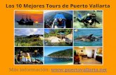Mejores tours en Puerto Vallarta