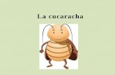 La cucaracha- Jorge Anaya