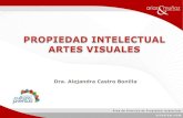 MCJ. Propiedad Intelectual en Artes Visuales