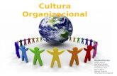 Niveles  de cultura organizacional