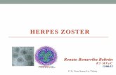 120612 herpes zoster pdf
