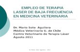 Empleo de la terapia laser  en animales  domésticos y exóticos.