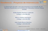Proyecto Final Resiliencia