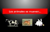 Power point.los animales