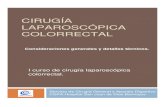 Manual de Cirugía Laparoscopica de colon y recto