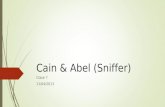 Cain & abel (sniffer)