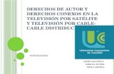 Derechos de autor y derechos conexos en la televisión por satélite y televisión por cable  cable distribución