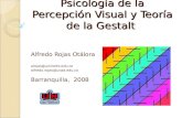 Psicología de la Percepción Alfredo Rojas Otálora