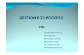 1° reunion gest. por procesos nov. 2012