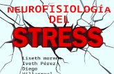 Neurofisiologia del estrés