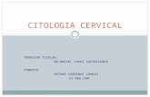 Citologia cervical