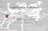 Presentacion treponema pallidum1