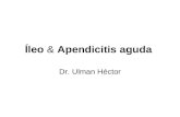 Ileo & apendicitis aguda