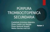 Purpura Trombocitopenica Secundaria