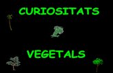 Curiositats vegetals. maite abad