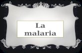 La malaria (2)