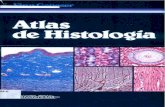 Atlas de-histologia---geneser