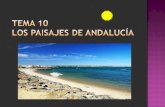 Tema 10   los paisajes de andalucía - 4º