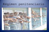 Laminas de regimen penitenciario[1]