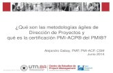 Webinar Metodologias Agiles y Certificacion PMI-ACP. UTN FRBA 11.06.2014