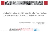 Seminario Metodologias Predictivas vs Agiles. UTN FRBA 16.06.2014