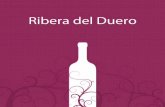 Rutas del Vino por la Ribera de Duero