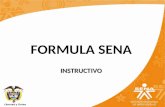 Formula Sena Instructivo  (2)