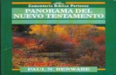 Panorama del Nuevo Testamento, por Paul N Benware