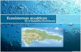 Ecosistemas acuáticos de la República Dominicana