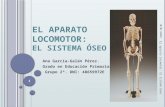 El aparato locomotor: El sistema óseo