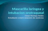 intubacion orotraqueal y mascarilla laringea (LMA)