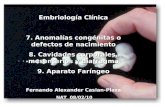 Embriologia: Anomalias Congenitas, Cavidades corporales, mesenterios y diafragma, Aparato Faríngeo 1/2