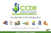 Incubadora CCDE 2009