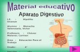 Material educativo   aparato digestivo