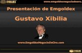Presentación Sistema Emgoldex