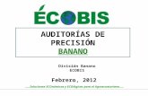 Ecobis Auditorías banano