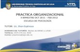 UTPL-PRÁCTICA ORGANIZACIONAL-II-BIMESTRE-(OCTUBRE 2011-FEBRERO 2012)