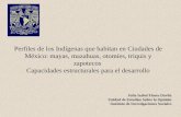 Social Science From Mexico Unam 072