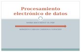Procesamiento ElectróNico De Datos Woed Vs Pdf