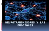 Neurotransmisores y las emociones