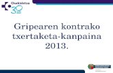 Gripearen kontrako txertaketa-kanpaina 2013.
