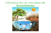 Concepto de ecosistema